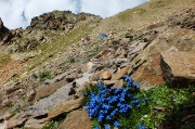 Giro ad anello della Punta di Ercavallo (3063 m.) dal Rif. Bozzi il 13 ag. 2013  - FOTOGALLERY